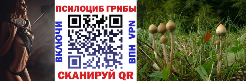 Галлюциногенные грибы мицелий  сколько стоит  Кушва 